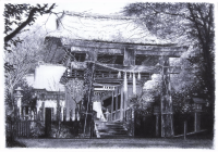 /album/silence-in-japan/a43c335-65c700fdf5b54d04a57257c8e6cfd813-png/