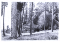 /album/silence-in-japan/a43c335-965f20a208ad4d03aacaeb2b06c42679-png/