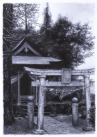 /album/silence-in-japan/a43c335-91078e58cf40428d8210959193c09409-png/